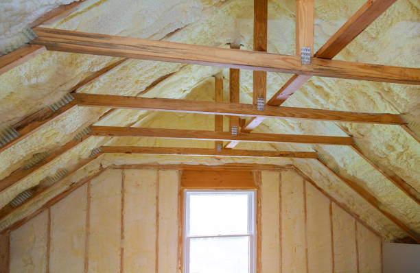 Best Insulation Maintenance and Repair in Woodridge, IL